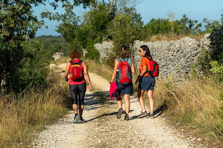 Randonnée du Rocher Pointu à Saint-Géry