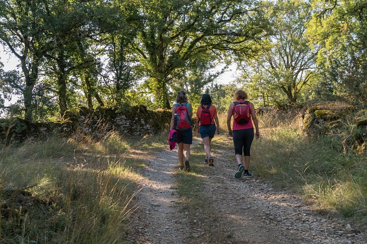 Randonnée du Rocher Pointu à Saint-Géry