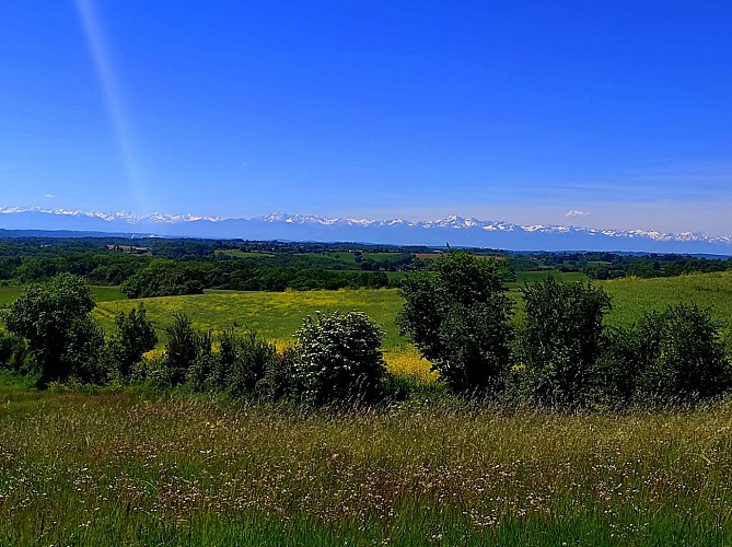 Route des crêtes