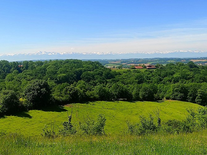 Route des crêtes