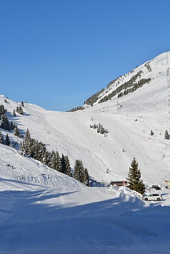 Foret de Piégut - snowshoeing from Auris-en-Oisans_Auris-en-Oisans