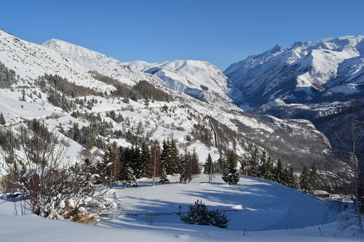 Foret de Piégut - en raquettes depuis Auris-en-Oisans_Auris-en-Oisans