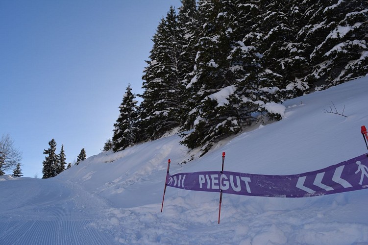 Foret de Piégut - sneeuwschoenwandelen vanuit Auris-en-Oisans_Auris-en-Oisans