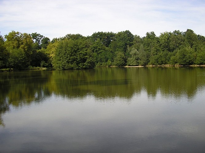 Le lac des Carolins