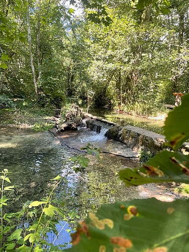 Hiking: Marais des Bidonnes and Canal de Crans_Divonne-les-Bains