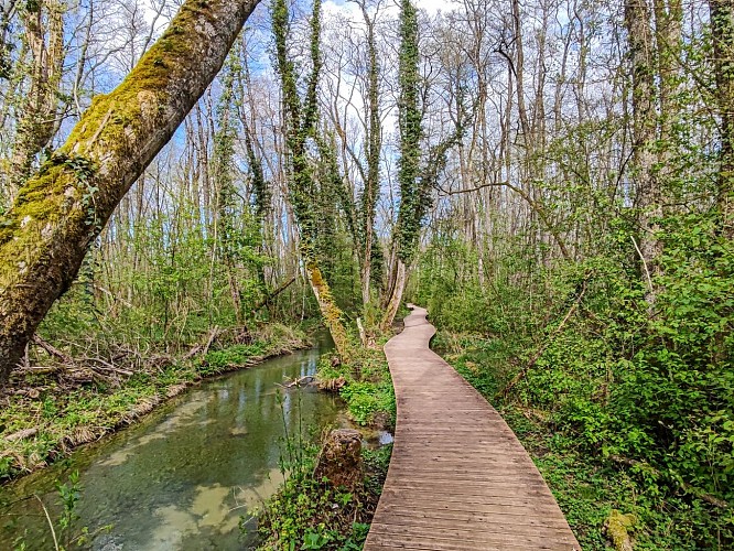 Wandelen: Marais des Bidonnes en Canal de Crans_Divonne-les-Bains