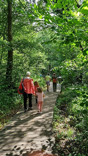 Wandelen: Marais des Bidonnes en Canal de Crans_Divonne-les-Bains
