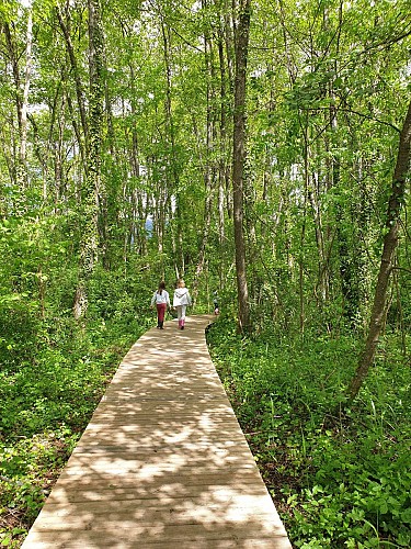 Wandelen: Marais des Bidonnes en Canal de Crans_Divonne-les-Bains