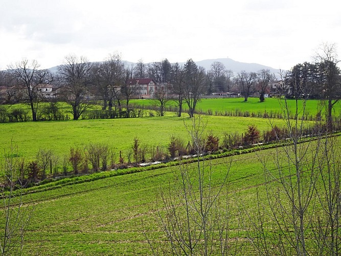 Vue sur les Monts d'Or