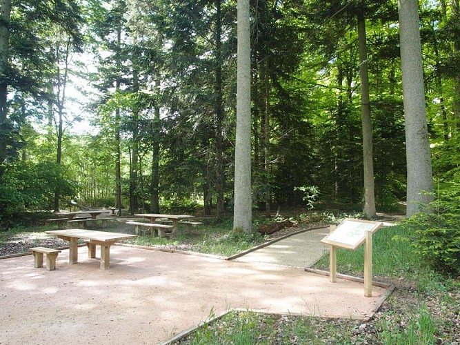 Le sentier de l'Orée du bois