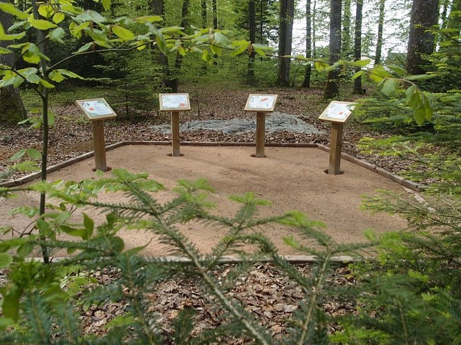 Le sentier de l'Orée du bois