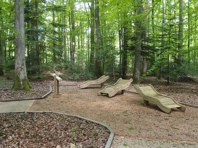 Le sentier de l'Orée du bois