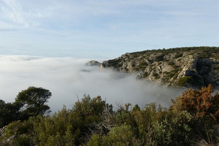 Forêt des cèdres et contreforts du Petit Luberon