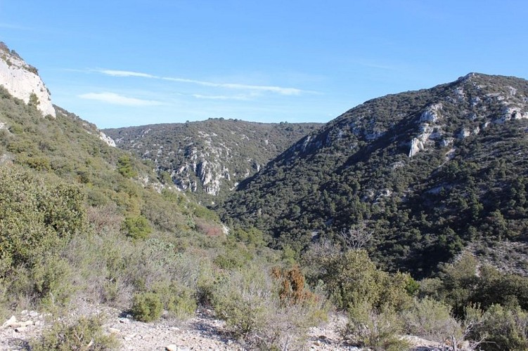 Combe de Sautadou depuis le collet