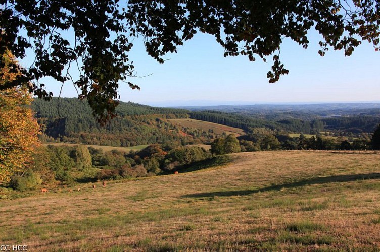 Le Toit du Limousin (raccourci)
