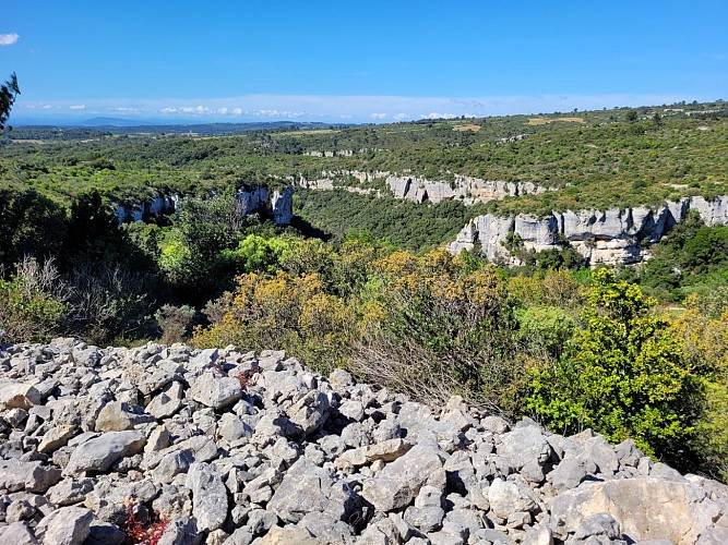 StJean_oenorando_vue-gorges_LLemoine (4)