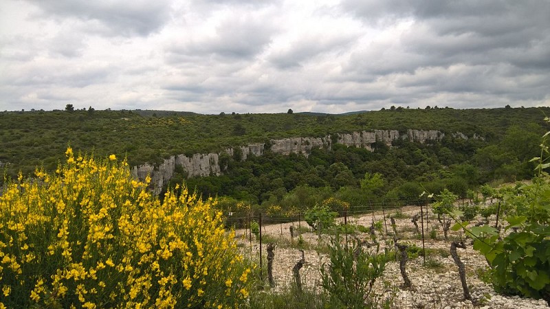 Gorges et Combes Syndicat MSJM