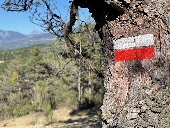 GR®406 - La Route Napoléon_Digne-les-Bains