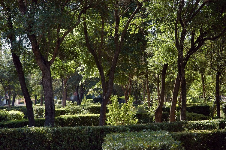 GR®406 - La Route Napoléon_Digne-les-Bains