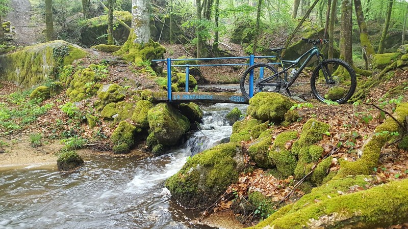 Circuit n°28 - L'appel de la forêt - Espace VTT-FFC Massif des Bois Noirs
