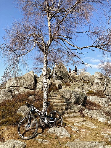 Circuit n°40 VTT - La Familiale - Espace VTT-FFC Massif des Bois Noirs