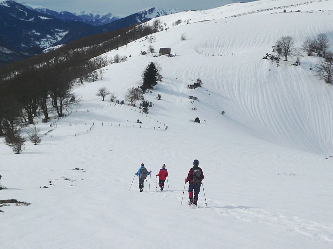 Cornudère en hiver