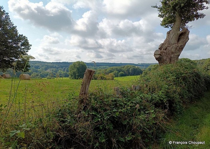La clairière de Saint-Laurent