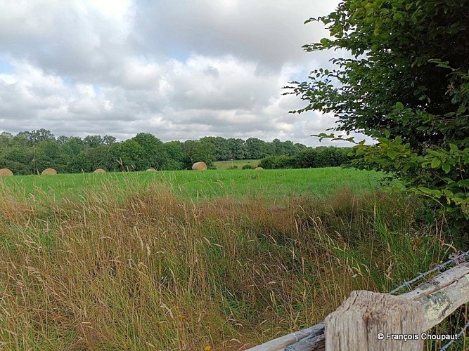La clairière de Saint-Laurent