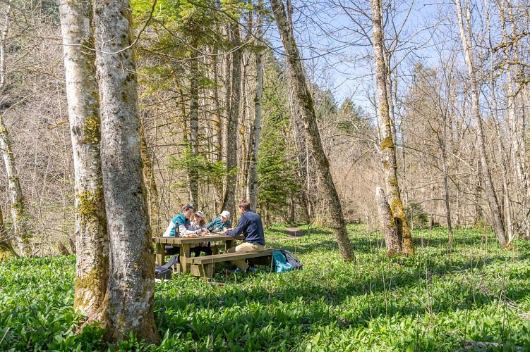 Le sentier des étoiles_Aillon-le-Jeune