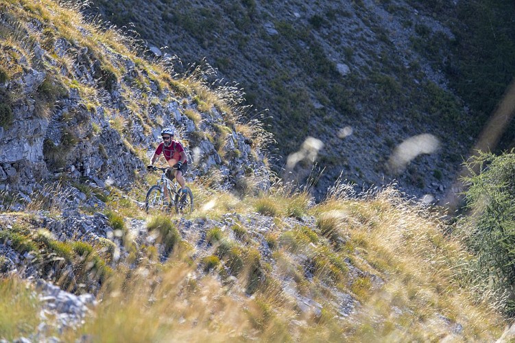 VTT L'Alpes Provence - Étape Seyne les Alpes-Verdaches