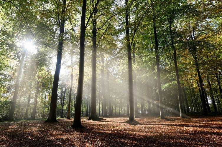 De gare en gare en Condroz-Famenne - De Houyet à Chapois