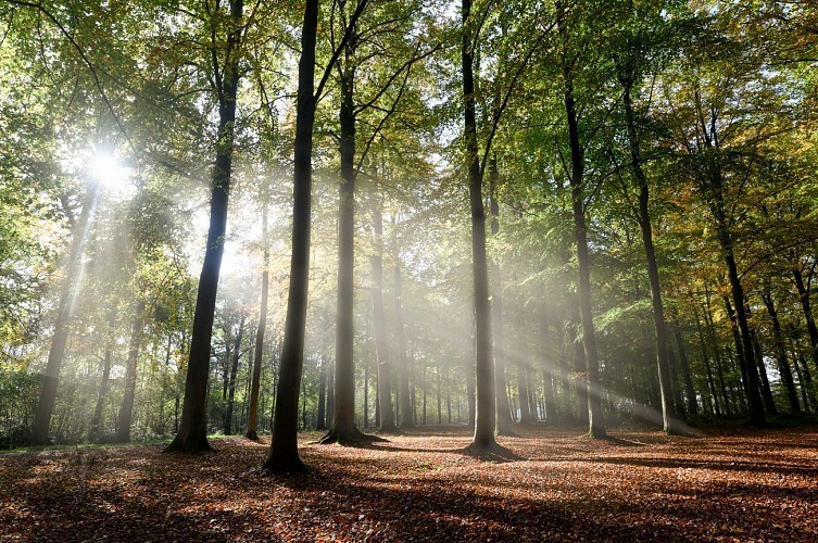 Van station naar station in de Condroz-Famenne - Van Houyet naar Chapois