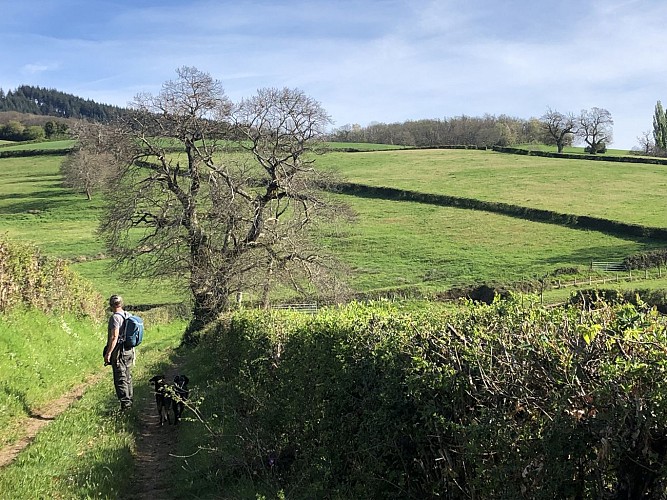 Le paysage s'ouvre, en direction des pâtures du Sud Morvan. Laurence Gadrey pour Bibracte. Libre de droit