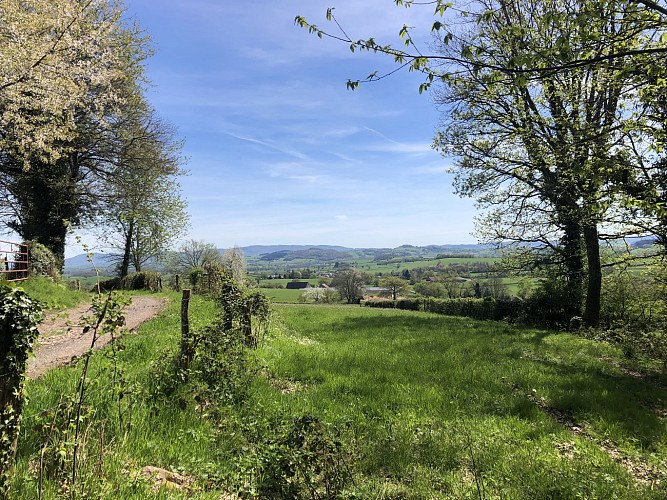 Du coté de Poil. Laurence Gadrey pour Bibracte. libre de droit