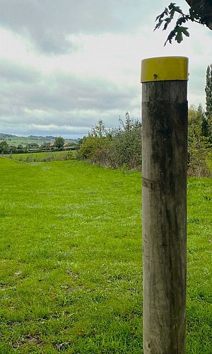 GENIS-Boucle des Coteaux et des Forges-Chemin-Poteau
