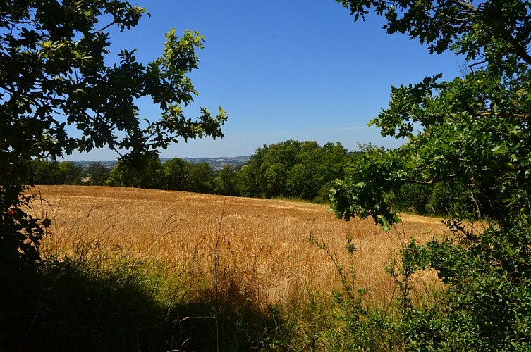 Randonnee à Montégut