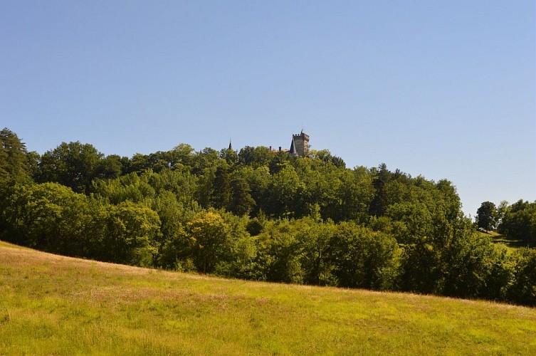 Randonnee à Montégut