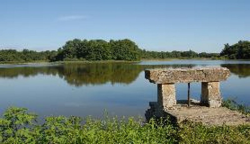 Observatoire sur l'étang grange volet 