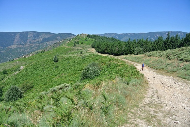Sur les crêtes du Tanargue