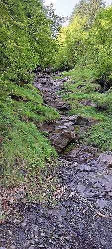 Pont de la Flée walk - footpath_Cordon