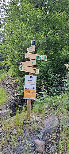 Balade au Pont de la Flée - sentier pédestre_Cordon