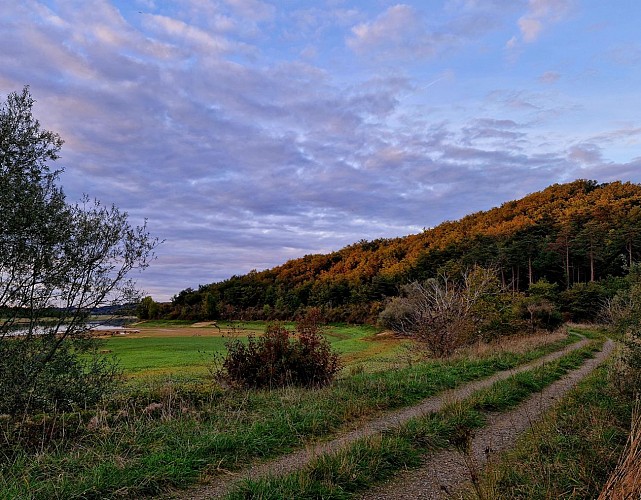 Lac et coteaux du Lizet - 4 km_Montesquiou