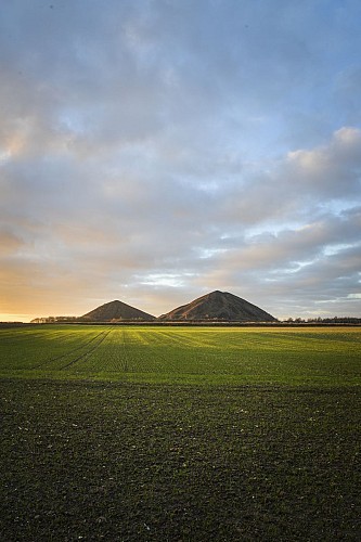 Terrils d'Haillicourt