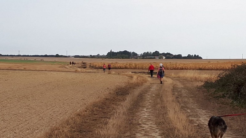 Randonnée à Houssay