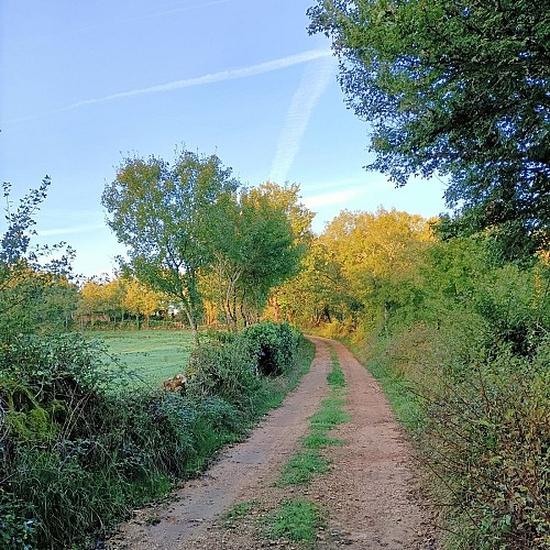 Chemin à Laramière