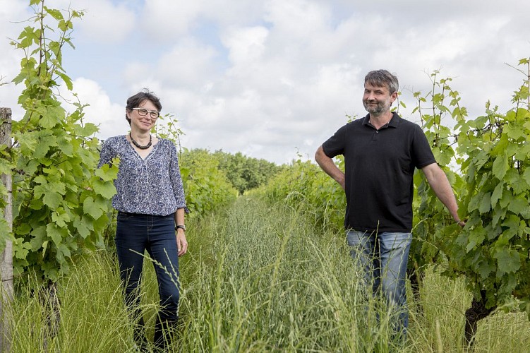 château de Belaygues