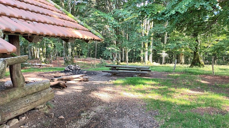 Chalet Sommerseite Circuit from Lachtelweiher Lake