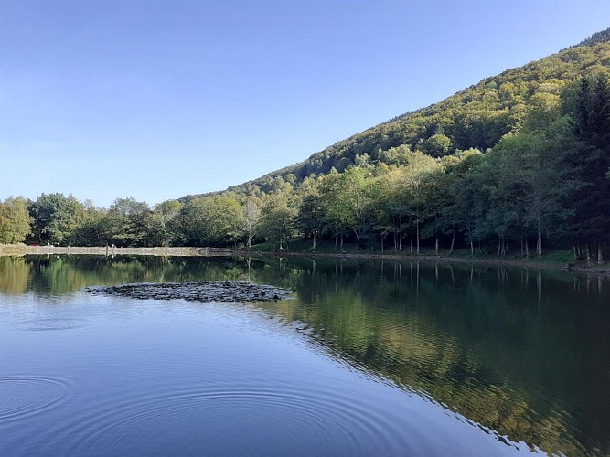 Lac du Lachtelweiher