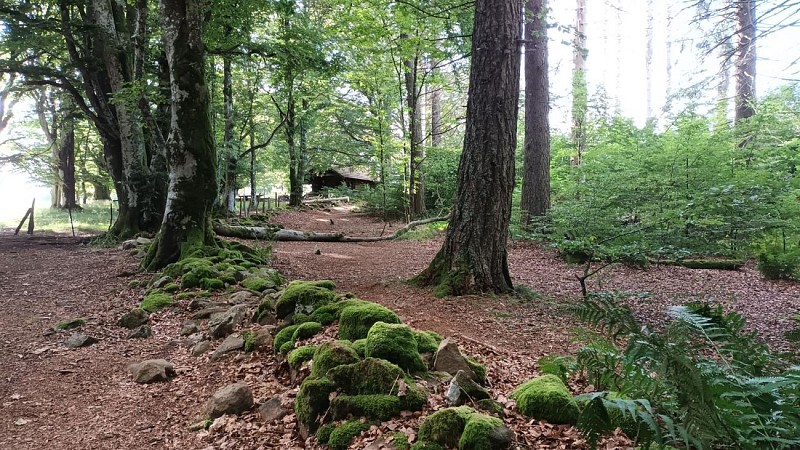 Circuit du Chalet Sommerseite depuis le lac du Lachtelweiher