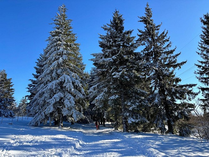 Pedestrian route - from the Col du Calvaire to the Lac Blanc